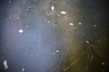 池の氷