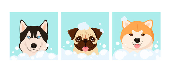 Obraz premium Funny dogs in foam. Grooming. Cartoon design. 