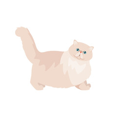 Persian cat on a white background. Cartoon design.
