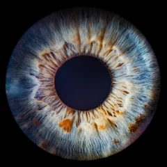 Foto op Aluminium close up of a blue eye © Lorant