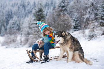 Winter knitted kids clothes. Boy sledding in a snowy forest with dog husky. Outdoor winter fun for Christmas vacation.