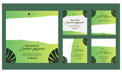 fresh and natural green instagram post template and EPS plant leaf ornament