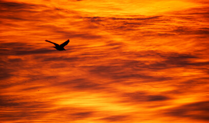 sunset over the sea