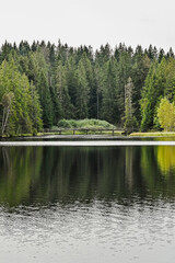 &eacute;tang de la gru&egrave;re, la gru&egrave;re, See, Moorsee, Moor, Weiher, Hochmoor, Wanderweg, Spazierweg, Holzbr&uuml;cke, Wald, Waldweg, Wasserpflanzen, Torfmoos, Jura, Naturschutz, Herbst, Herbstfarben, Schweiz