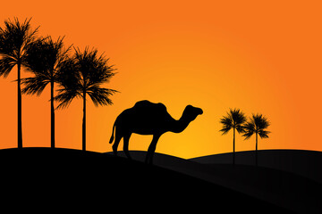 Fototapeta na wymiar silhouette of camel in the desert, camel in the desert.desert view and Date palm trees.