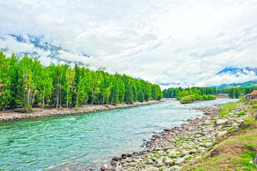 Obraz premium Beautiful river, wooden bridge and birch forest
