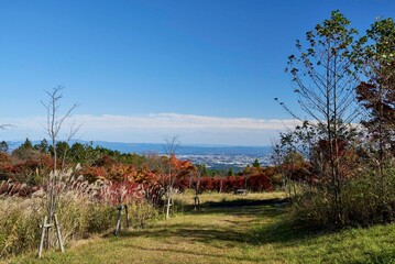 植樹祭記念緑地公園