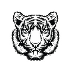 hand drawn face tiger black and white 