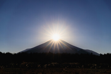 山梨県花の都公園からのダイヤモンド富士