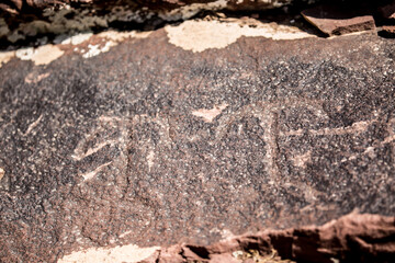 Petroglyphs on the rocks in Kazakhstan. The ancient parking cave man. Historical cave paintings. Carved on stone images of deer, goats and wolves. The development of ancient peoples.