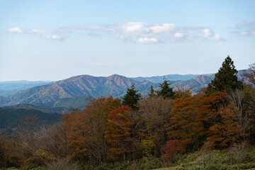 Obraz premium 紅葉する山