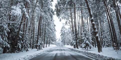 Empty road in snowy winter forest. Tall fir trees landscape. Picturesque view of snow-capped...