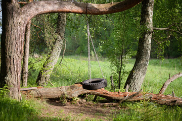 Swinging homemade tire on a tree in the summer forest. No one on the swing. Loneliness