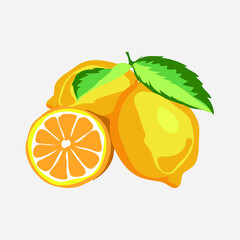 vectpr illustration of lime fruit, yellow and green with leaf