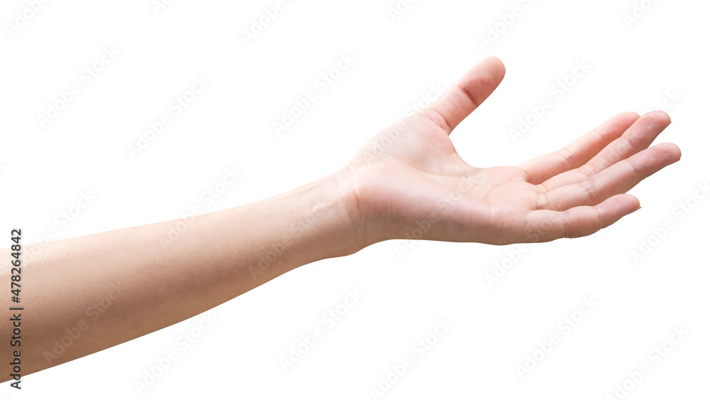 Wall mural woman hand reach and ready to help or receive. gesture isolated on white background.