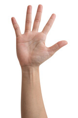 Woman hand show finger number five isolated on white background.