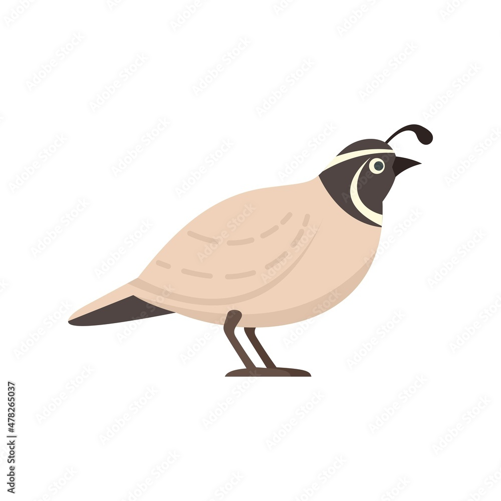 Sticker quail adorable icon flat isolated vector