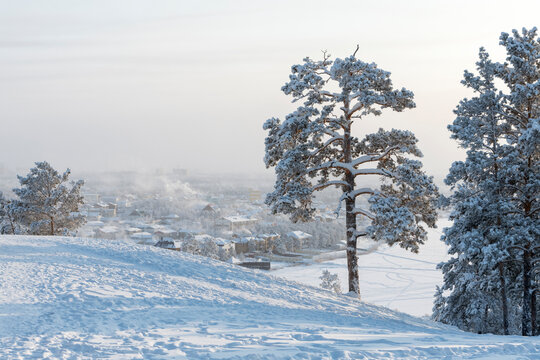 Winter landscape with trees and snow. Fog over Yakutsk city on a cold winter day, temperature -50 outside