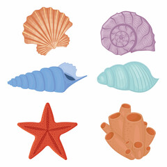 A set of colored seashells. Isolated vector illustration on a white background