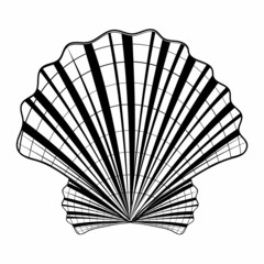 Isolated seashell. Vector illustration of a black contour line, in the style of a doodle.