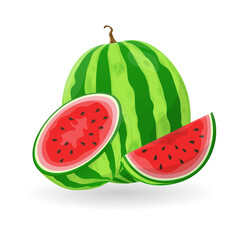 Vector illustration logo for whole ripe red fruit watermelon, green stem, cut half, sliced slice berry with red flesh. Watermelon pattern from natural sweet food. Eat tasty tropical fruits watermelons