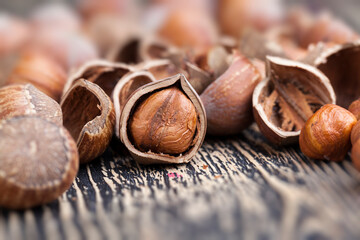 a large number of hazelnuts