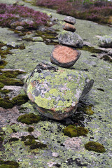 Closeup of cairn, boulders and rocks stacked. Purple heather in the background. Mountain terrain with moss and plants.