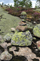 Closeup of cairn, boulders and rocks stacked. Purple heather in the background. Norwegian mountain terrain with moss and plants.