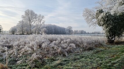 Kalter Tag im Winter mit wenig Schnee, dafür aber Sonne und ein wenig Nebel.