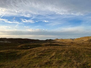 Obraz premium Wonderful dunes at a perfect beach in a perfect evening