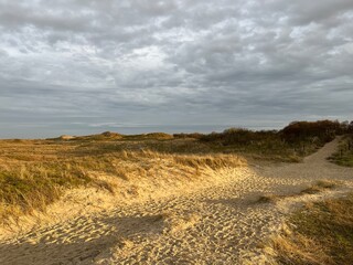 Wonderful dunes at a perfect beach in a perfect evening