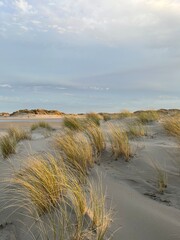 Wonderful dunes at a perfect beach in a perfect evening