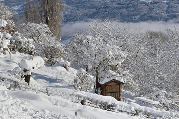wooden cabin in alpine garden  covered with fresh  snow in mountain landscape
