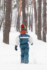 Fototapeta na wymiar Close-up portrait of child in winter clothes. Boy goes along the snowy forest. Back view