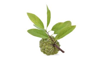 Fresh Custard Apple with leaf isolated on white background
