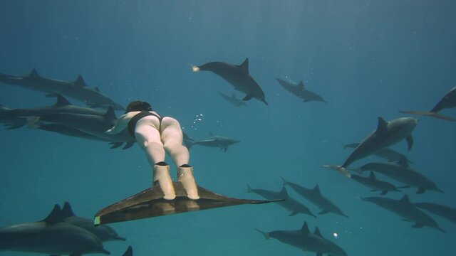 Beautiful young woman swimming underwater with dolphins in pristine blue ocean water, amazing snorkeling adventure. Armature freediver girl diving in red sea with bottlenose dolphins. Travel concept