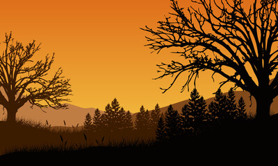 Naklejka premium Mountain view with stunning pine tree silhouette from outside the village at dusk