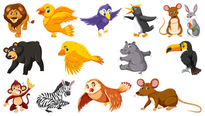 Set of isolated different animals