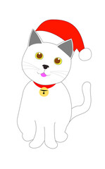 white cat with christmas hat