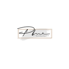 PB initial Signature logo template vector