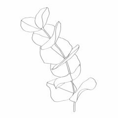 Eucalyptus branch continuous line drawing. - 478279085