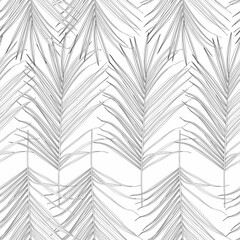 Nature seamless pattern. Hand drawn tropical summer background. Black white palm tree leaves, line art. 