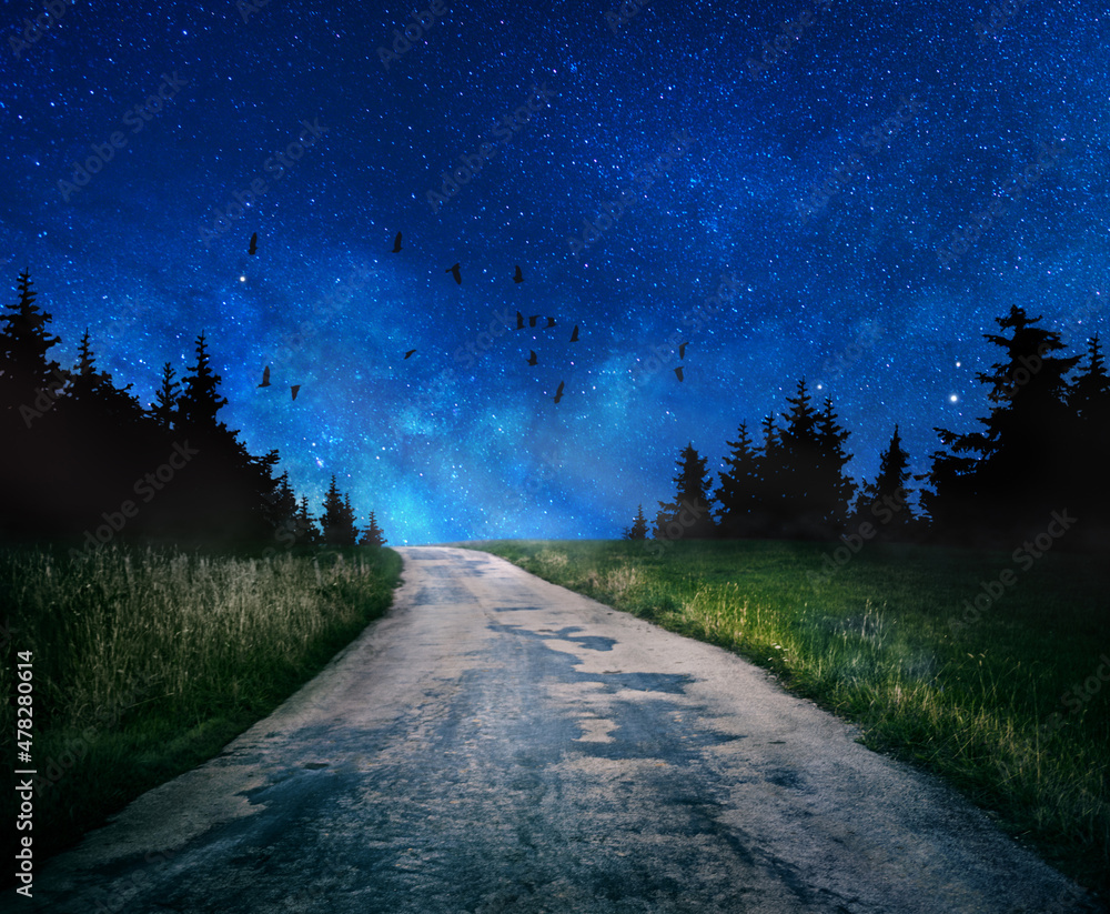 Wall mural old dark night road through forest and starry sky