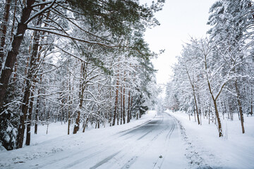 Obraz premium Empty road in snowy winter forest. Tall fir trees landscape. Picturesque view of snow-capped spruces on frosty day. Photo wallpaper. Fabulous nature image. Happy New Year. Beauty of earth. Horizontal.