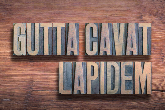 Gutta cavat lapidem wood