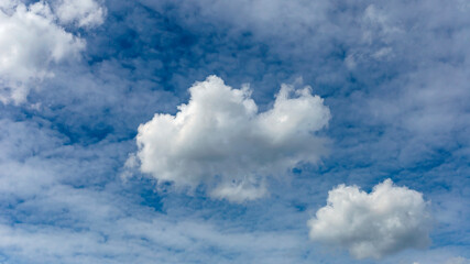 Naklejka na ściany i meble a large cumulus cloud on a background of blurry cirrus clouds as a natural background