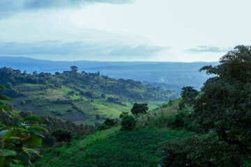 Fototapeta na wymiar Panoramic View to the Green Trees and Mountains under Cloudy Blue Sky of the Omo River Valley, Ethiopia