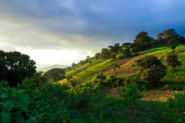 Panoramic View to the Green Trees and Mountains under Cloudy Blue Sky of the Omo River Valley, Ethiopia