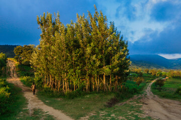 Panoramic View to the Green Trees and Mountains under Cloudy Blue Sky of the Omo River Valley, Ethiopia