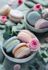 Beautiful colorful tasty macaroons on a concrete background